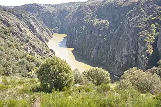 Vallei bij Miranda do Douro