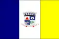 Vlag van Central de Minas