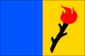 Vlag