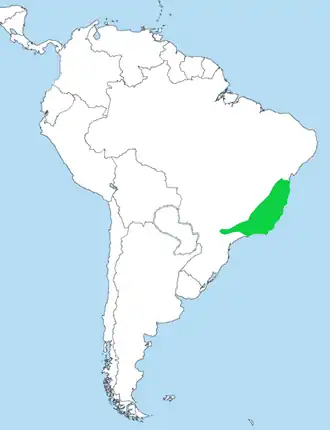 Cryptische mierlijster