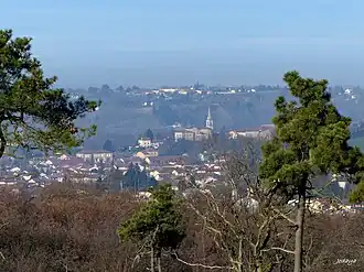 Gezicht op Charantonnay