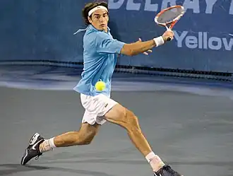 ATP-toernooi van Delray Beach 2009