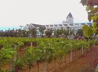 Chateau Changyu, Beiyujia Wijngaard