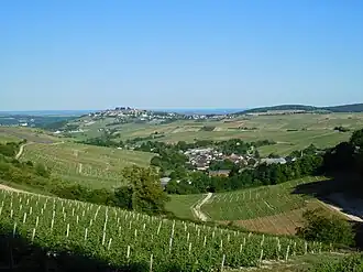 Landschap bij Chavignol (bij Sancerre)