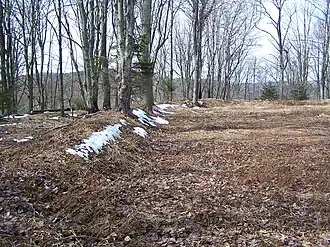 aarden wal bij Fort Summit