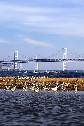 De Chesapeake Bay Bridge