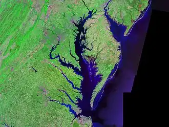 Chesapeake Bay - Landsat foto