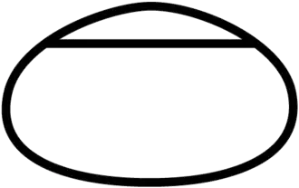 Chicagoland Speedway, Illinois