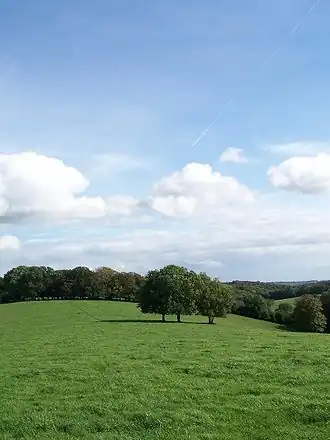 Chiltern Hills bij Nettlebed, Oxfordshire