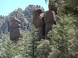 Bomen en hoodoos, Chiricahua National Monument