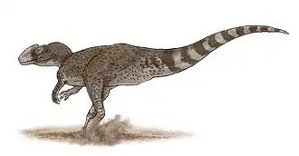 Chuandongocoelurus