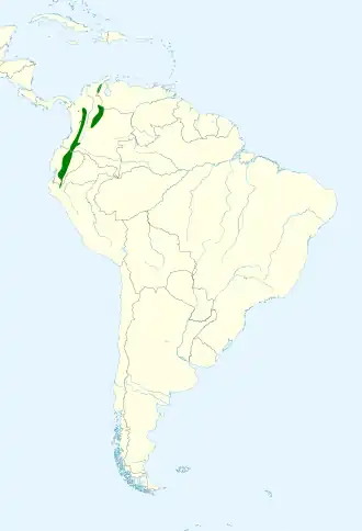 Rossige winterkoning