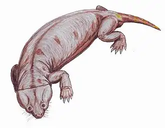 Cistecephalus