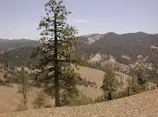 In de nabijheid van San Benito Mountain