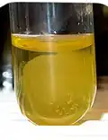 Coagulase+ bij Staphylococcus aureus