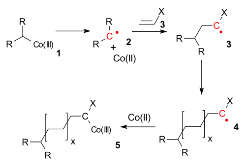 Additiepolymerisatie onder invloed van kobalt