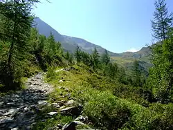 Uitzicht op Col de Balme (grensovergang tussen Frankrijk en Zwitserland). Foto is genomen op pad tussen Les Herbagères en Trient (Zwitserland).