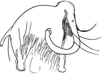 tekening van een mammoet in de Grottes des Combarelles