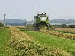 De achterkant van een groene maaidorser. De gewasresten (stro) komen er aan de achterkant op rijen uit.