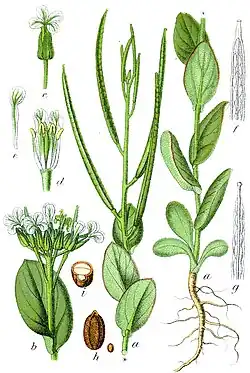 Illustratie van Jacob Sturm