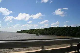 De Coppename rivier vanaf de brug