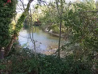 De Guiers vanaf dezelfde brug stroomafwaarts