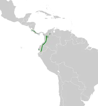 Roodwangstekelstaart