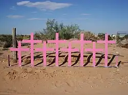 Acht roze kruizen, met op de achtergrond een woestijnlandschap