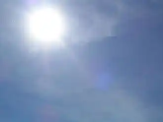 Cirrostratus nebulosus