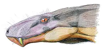 Cyonosaurus