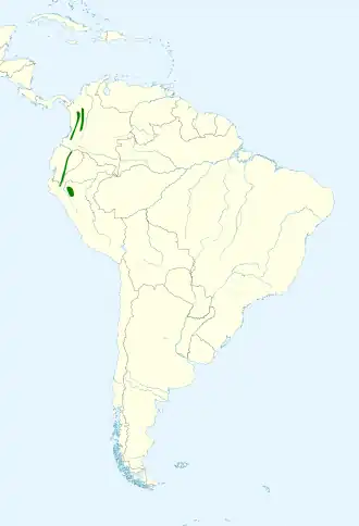Noordelijke bruinborstwinterkoning
