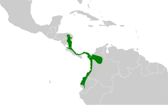 Pacifische orpheuswinterkoning