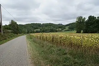 De weg richting oosten na kruising met de D40