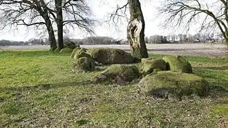 hunebed D37 en op de achtergrond D36