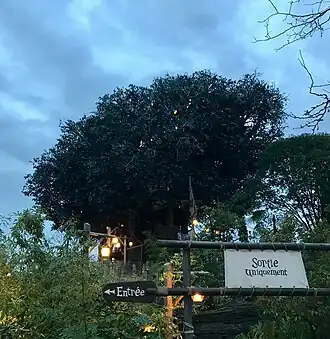 La Cabane des Robinson in de avond