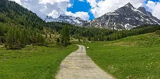 het Val viola Bormina met de Cima Viola en de Corno di Dosdè op de achtergrond