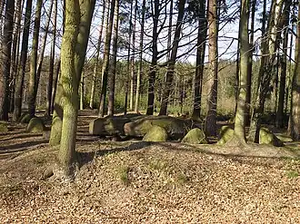 Riesenbett (Sprockhoff Nr. 299), Dassendorf, Duitsland