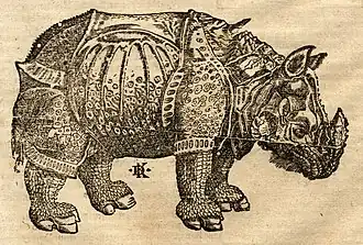 Neushoorn door David Kandel in de Cosmographia van Sebastian Münster, naar het voorbeeld van Dürers Rhinocerus