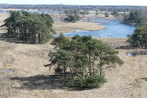 Mispeleindse- en Neterselse Heide.