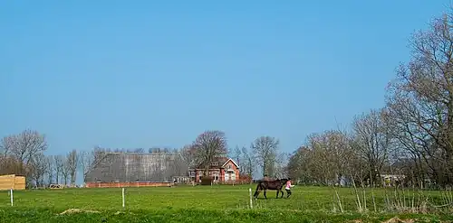 De Grote Houw vanaf de weg met linksachter boerderij Leensterweg 53 en rechtsachter boerderij Algersmaheerd (Leensterweg 57)