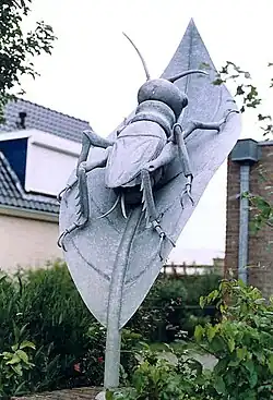 De Krekel (1981), Wolvega