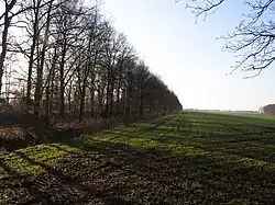 De Landweer bij Allardsoog