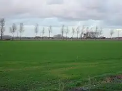 Landschap van De Moeren, met de Sint-Karelsmolen.
