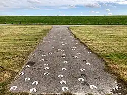 De paarden van Marrum