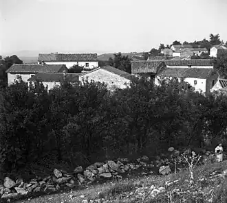Račice in 1955