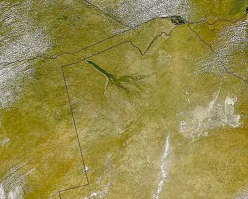 Satellietfoto van de Okavangodelta