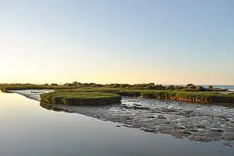 Natuurpark Delta del Po