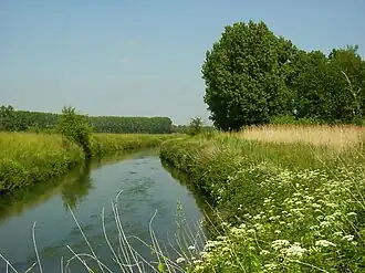 De Demer in Kuringen, vlak bij de abdij van Herkenrode