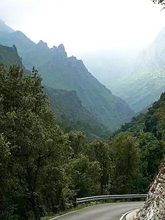 Desfiladero de la Hermida nabij San Esteban