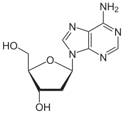 Structuurformule van desoxyadenosine